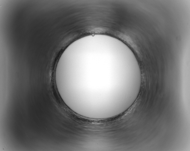 X0000088690159200705311004