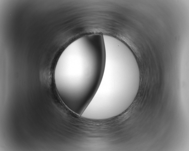 X0000088690160200705311004