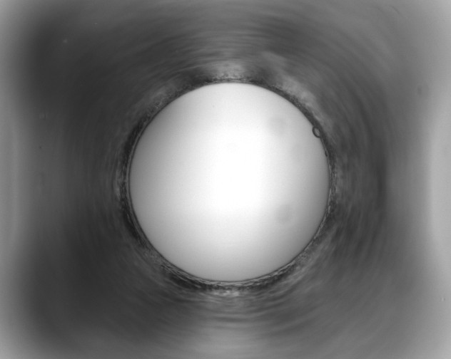 X0000088690161200705311004