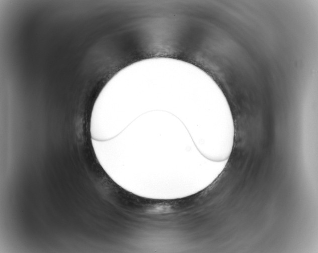 X0000088690162200705311004