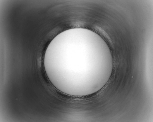 X0000088690163200705311004