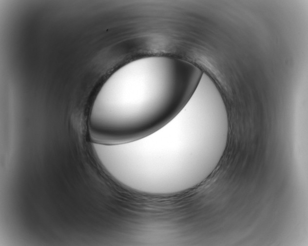 X0000088690164200705311004