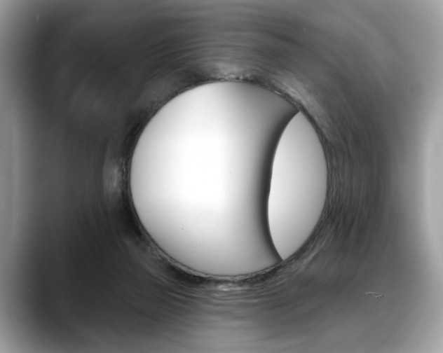X0000088690165200705311004