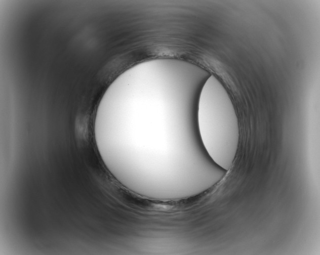 X0000088690167200705311004