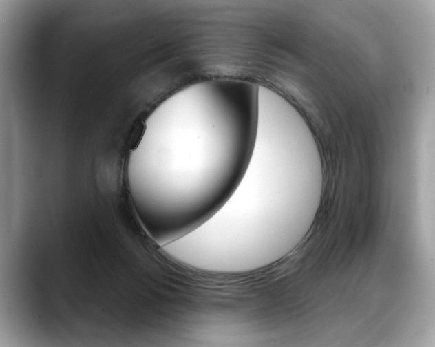 X0000088690168200705311004