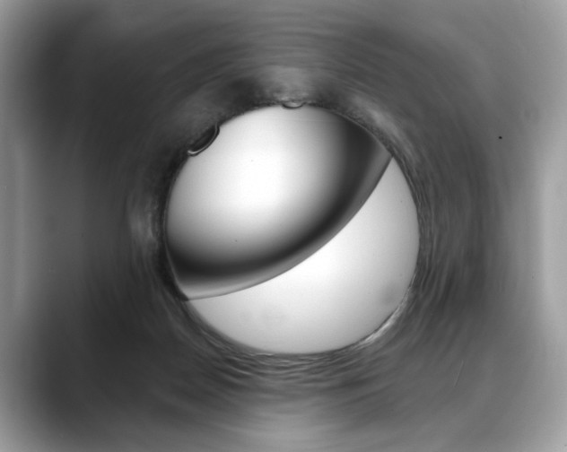 X0000088690170200705311004