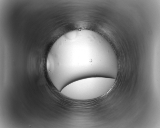 X0000088690171200705311004