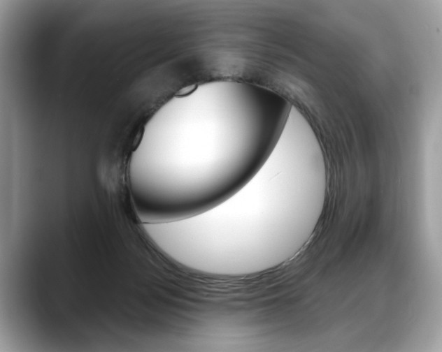 X0000088690172200705311004