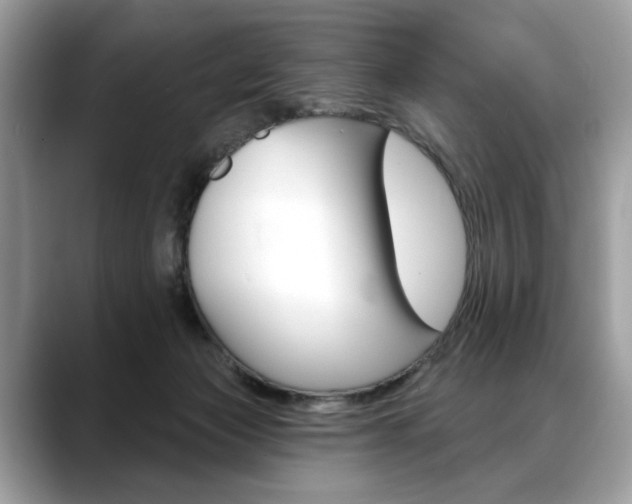 X0000088690173200705311004