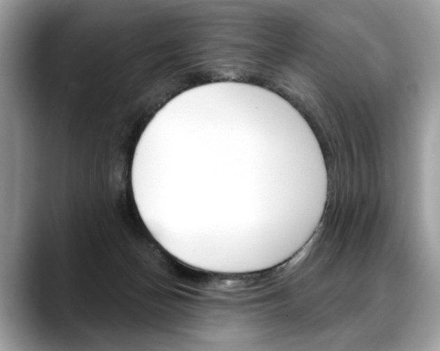 X0000088690174200705311004