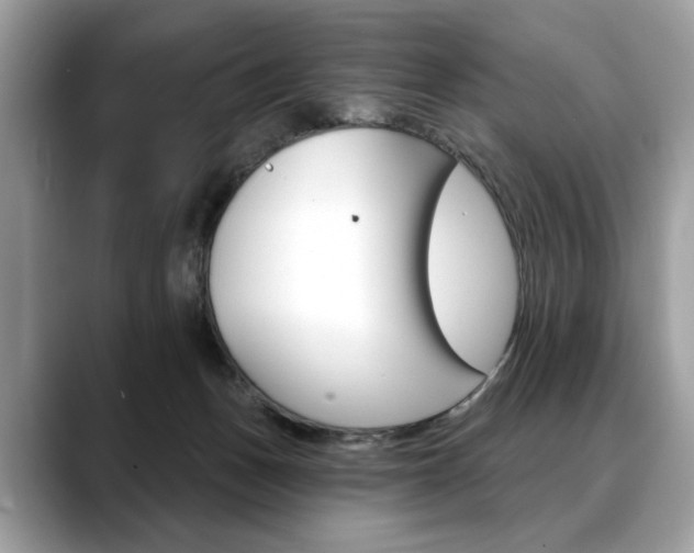 X0000088690175200705311004