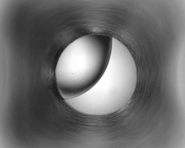 X0000088690176200705311004