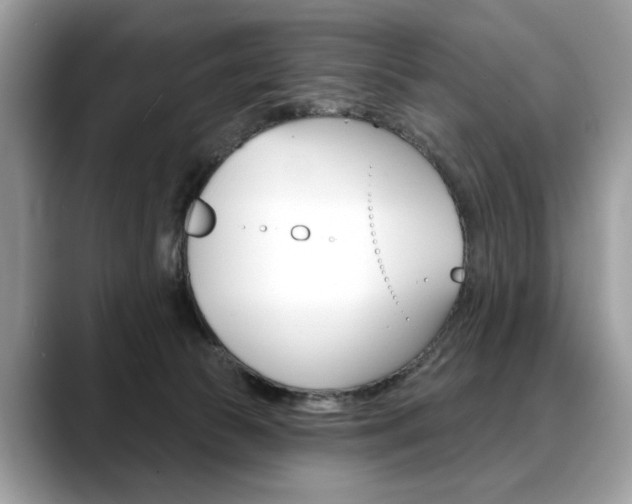 X0000088690177200705311004