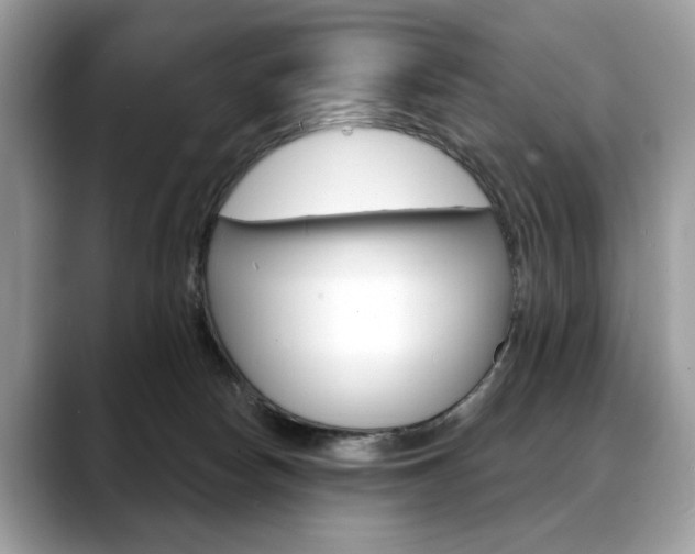 X0000088690178200705311004