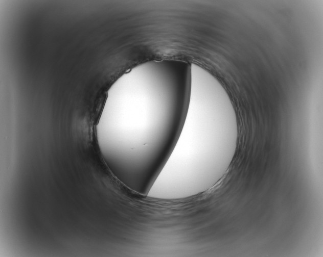 X0000088690180200705311004