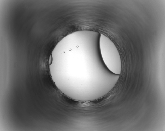 X0000088690181200705311004