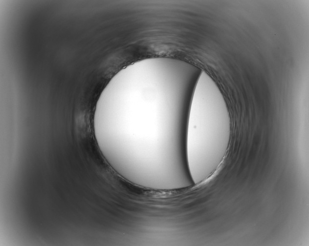 X0000088690182200705311004