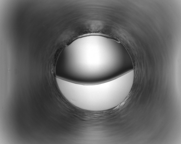 X0000088690184200705311004