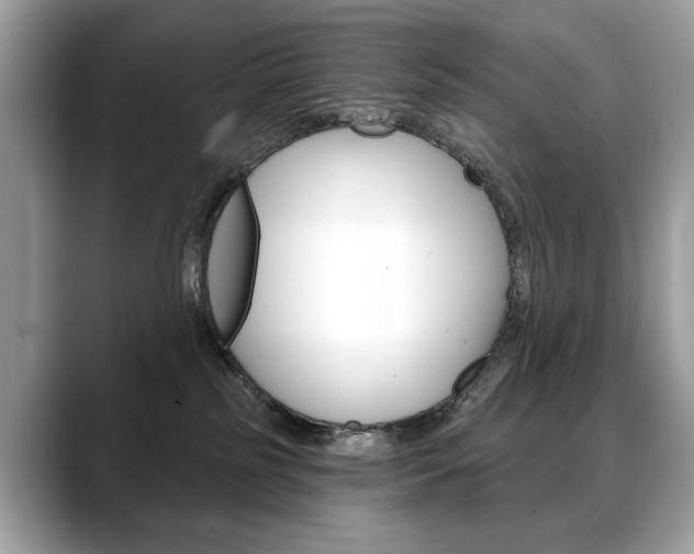 X0000088690185200705311004