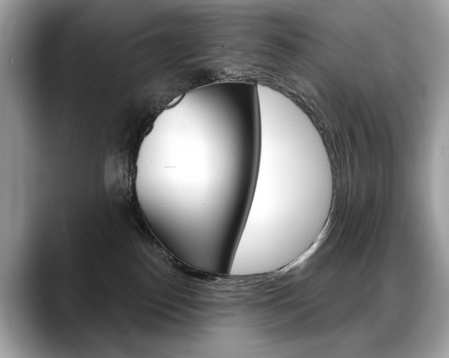 X0000088690186200705311004