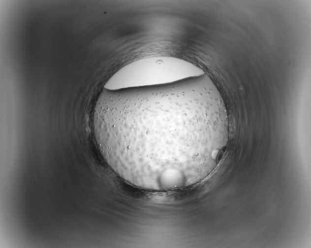 X0000088690187200705311004