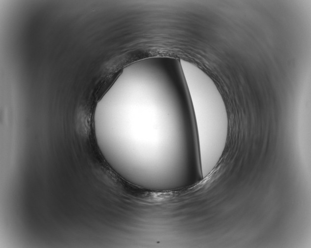 X0000088690188200705311004