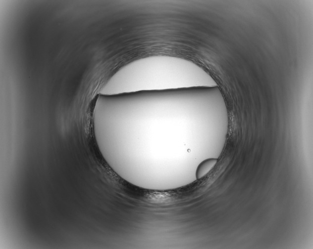 X0000088690189200705311004