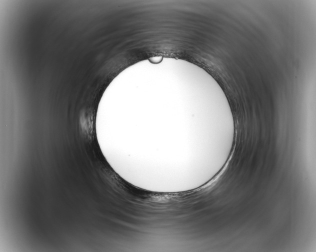 X0000088690190200705311004