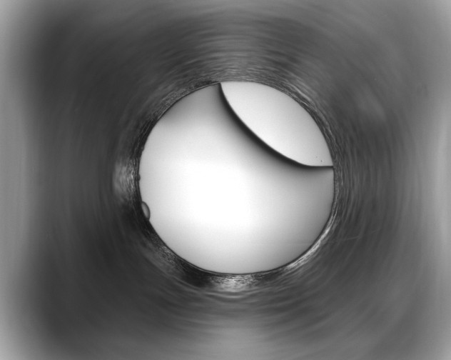 X0000088690191200705311005