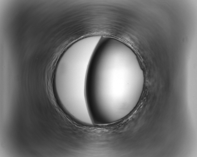 X0000088690193200705311004