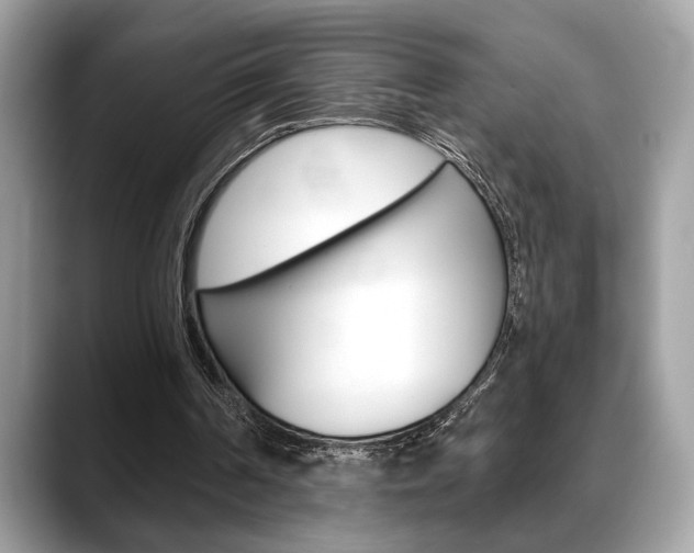 X0000088690194200705311004