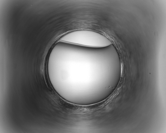 X0000088690195200705311004