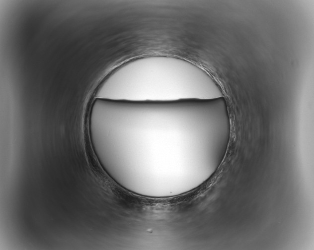 X0000088690196200705311004