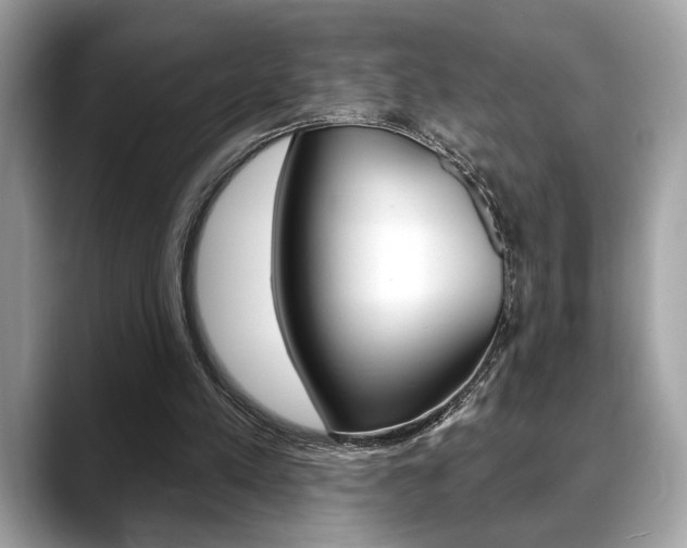 X0000088690197200705311004