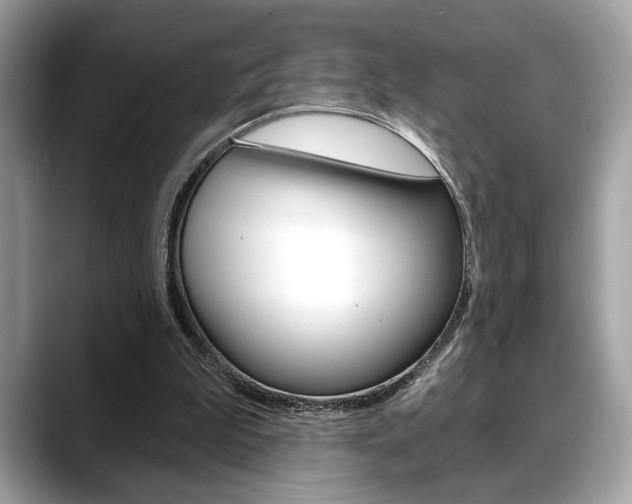 X0000088690199200705311004
