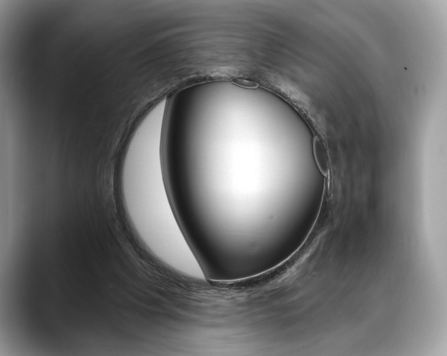 X0000088690201200705311004