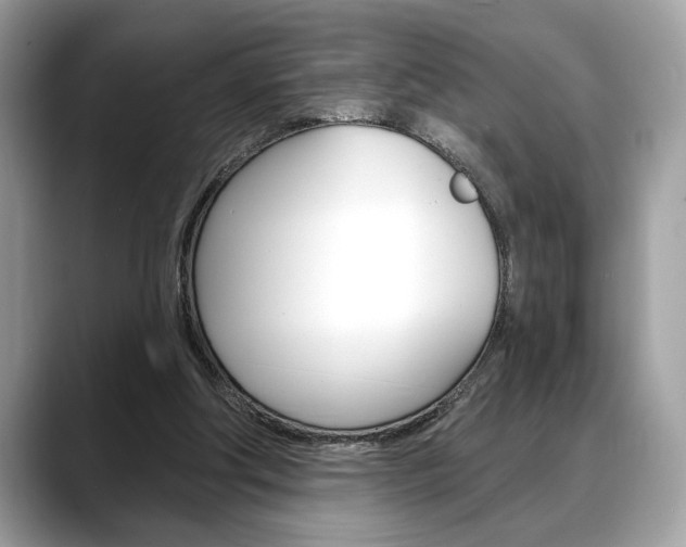 X0000088690202200705311004