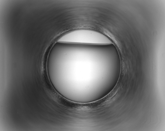 X0000088690203200705311004