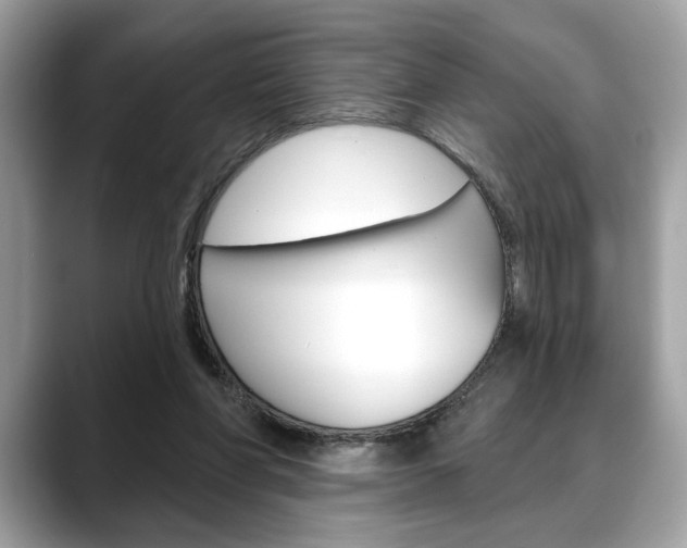 X0000088690206200705311004
