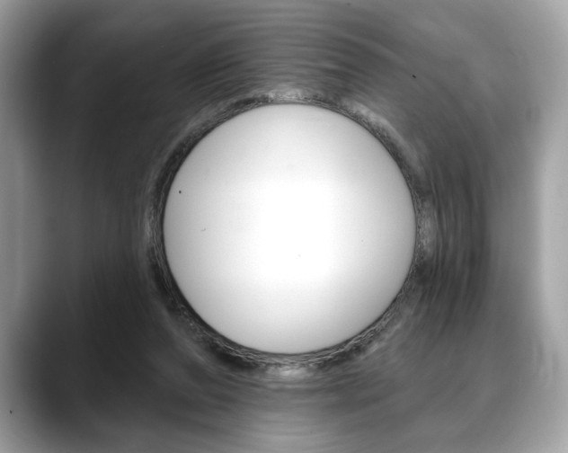 X0000088690208200705311004