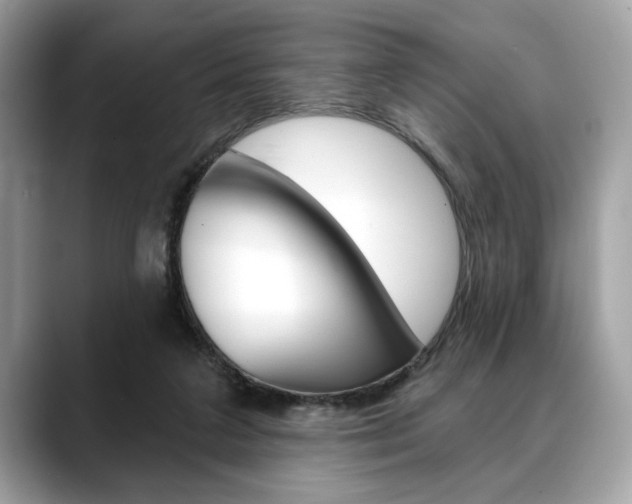 X0000088690211200705311004