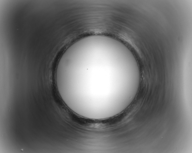 X0000088690212200705311004