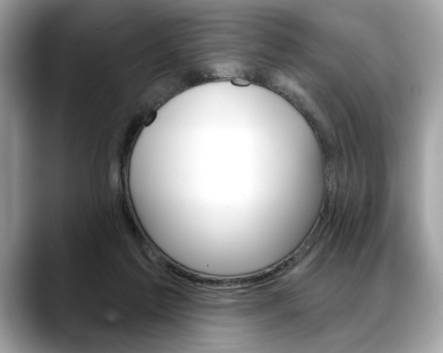 X0000088690213200705311004