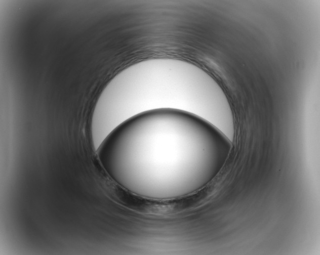 X0000088690217200705311004