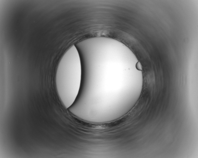 X0000088690218200705311004