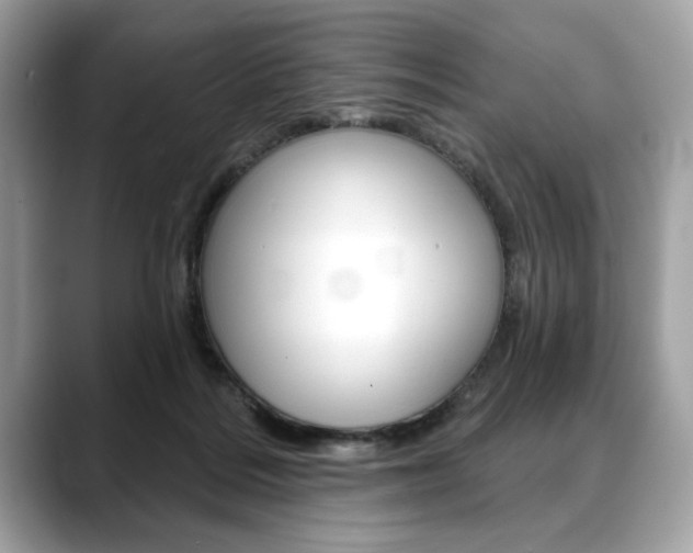 X0000088690220200705311004