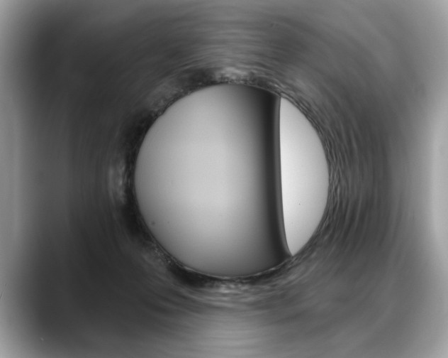 X0000088690223200705311004