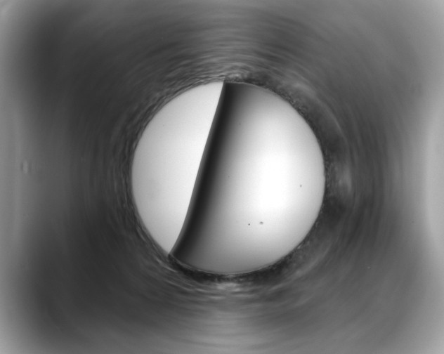 X0000088690224200705311004