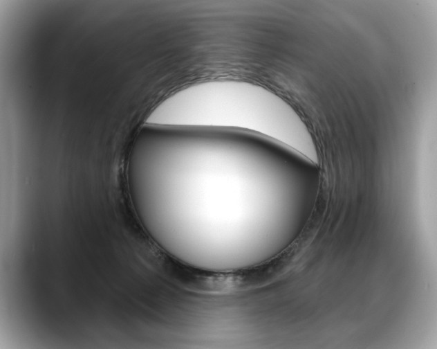 X0000088690225200705311004