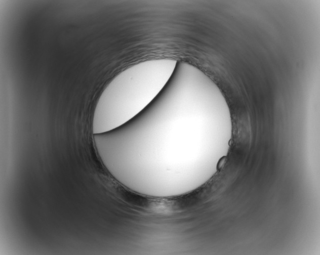 X0000088690226200705311004